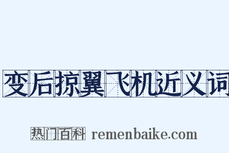 变后掠翼飞机近义词是什么意思的图片